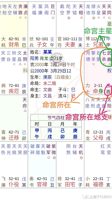 壽卜申地意思|命宫所在地支宫位的性格和职业选择 – 紫微麥 